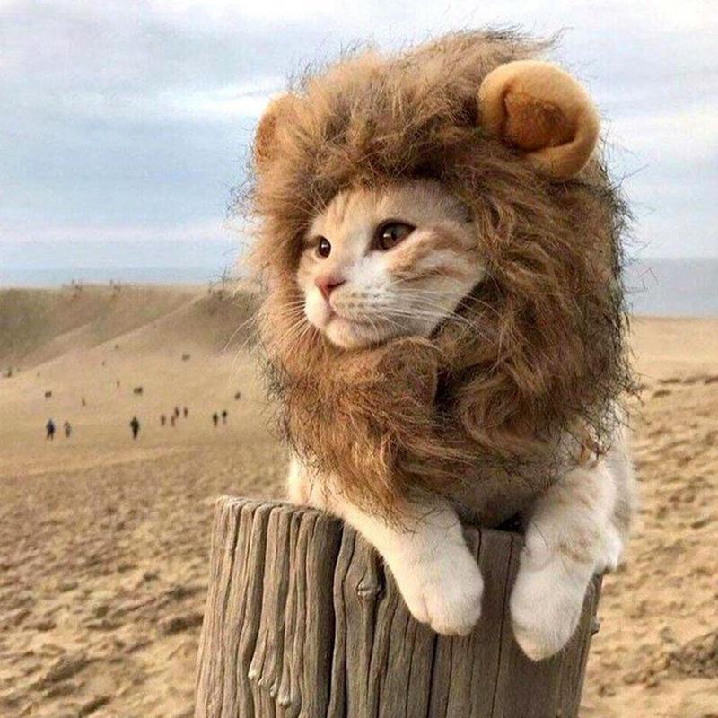 Pet Cat Decor Accessories Lion Wig
