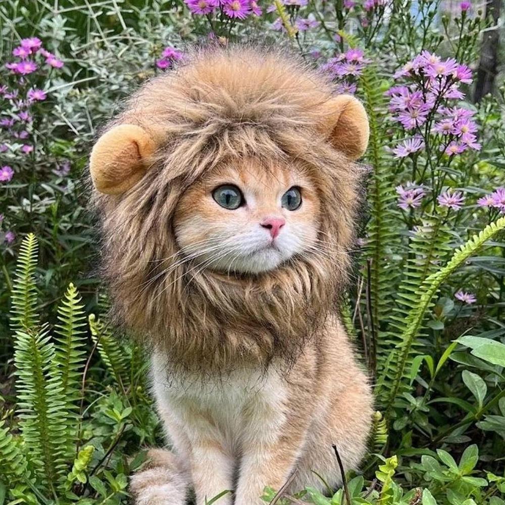 Pet Cat Decor Accessories Lion Wig